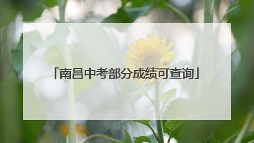 南昌中考部分成绩可查询
