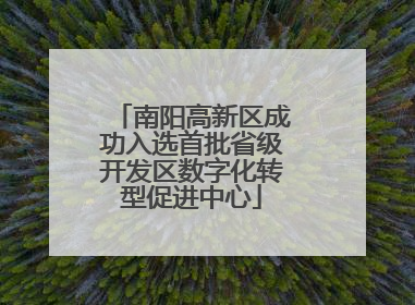 南阳高新区成功入选首批省级开发区数字化转型促进中心