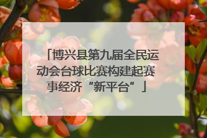 博兴县第九届全民运动会台球比赛构建起赛事经济“新平台”