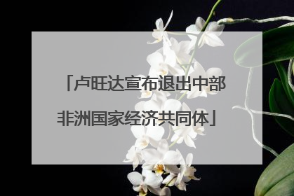 卢旺达宣布退出中部非洲国家经济共同体