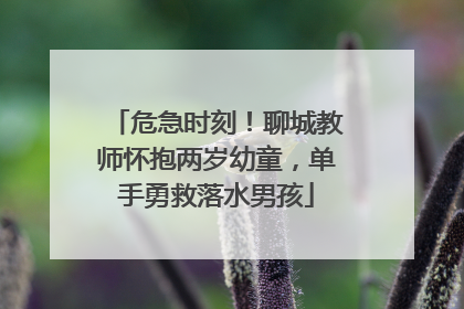 危急时刻！聊城教师怀抱两岁幼童，单手勇救落水男孩