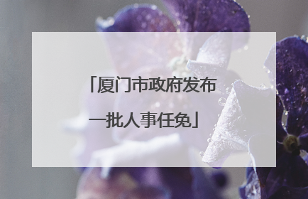 厦门市政府发布一批人事任免