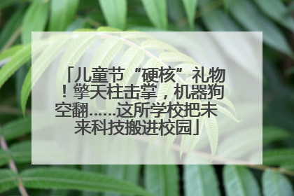 儿童节“硬核”礼物！擎天柱击掌，机器狗空翻……这所学校把未来科技搬进校园