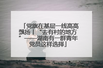 党旗在基层一线高高飘扬丨“去有村的地方”——湖南有一群青年党员这样选择