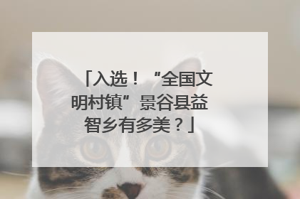 入选！“全国文明村镇”景谷县益智乡有多美？