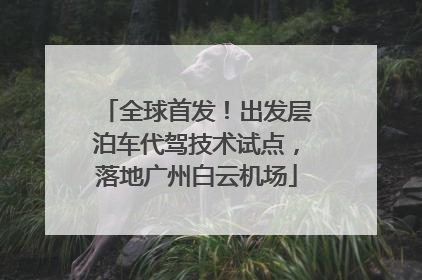 全球首发！出发层泊车代驾技术试点，落地广州白云机场