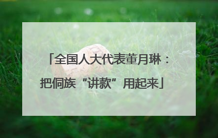 全国人大代表董月琳：把侗族“讲款”用起来