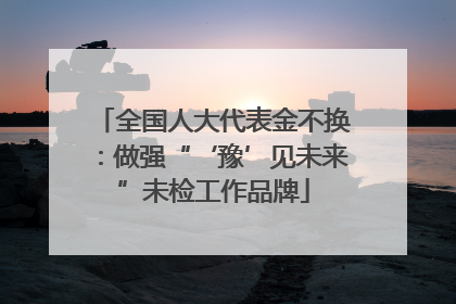 全国人大代表金不换：做强“‘豫’见未来”未检工作品牌