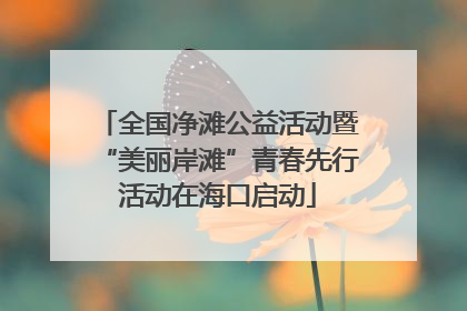 全国净滩公益活动暨“美丽岸滩”青春先行活动在海口启动