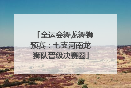 全运会舞龙舞狮预赛：七支河南龙狮队晋级决赛圈