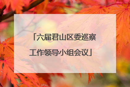 六届君山区委巡察工作领导小组会议