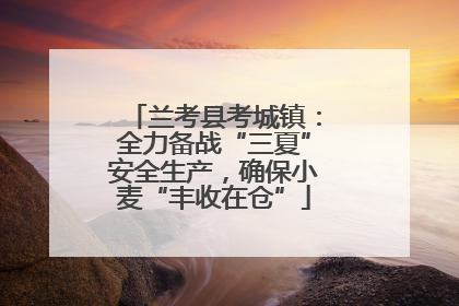 兰考县考城镇：全力备战“三夏”安全生产，确保小麦“丰收在仓”