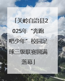 关岭自治县2025年“奔跑吧少年”校园足球三级联赛圆满落幕