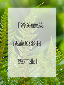 冷凉蔬菜成高原乡村热产业