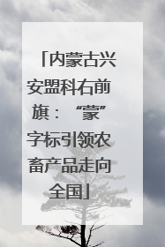 内蒙古兴安盟科右前旗：“蒙”字标引领农畜产品走向全国