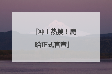 冲上热搜！鹿晗正式官宣