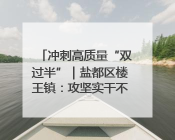 冲刺高质量“双过半”｜盐都区楼王镇：攻坚实干不停歇 奋力跑赢“上半场”