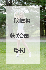 刘国梁获联合国聘书
