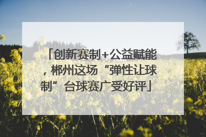 创新赛制+公益赋能，郴州这场“弹性让球制”台球赛广受好评