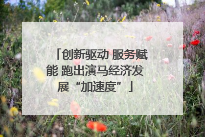 创新驱动 服务赋能 跑出演马经济发展“加速度”