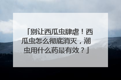 别让西瓜虫肆虐！西瓜虫怎么彻底消灭，潮虫用什么药最有效？