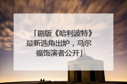 剧版《哈利波特》最新选角出炉，马尔福饰演者公开