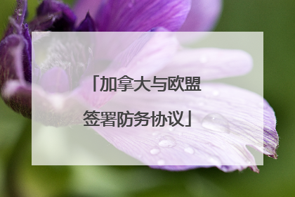 加拿大与欧盟签署防务协议