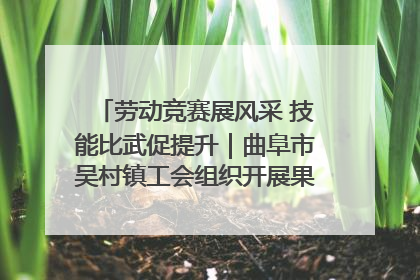 劳动竞赛展风采 技能比武促提升｜曲阜市吴村镇工会组织开展果树套袋技能竞赛