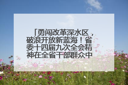 勇闯改革深水区，破浪开放新蓝海！省委十四届九次全会精神在全省干部群众中引发热烈反响