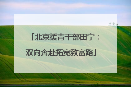 北京援青干部田宁：双向奔赴拓宽致富路