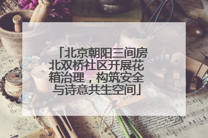 北京朝阳三间房北双桥社区开展花箱治理，构筑安全与诗意共生空间