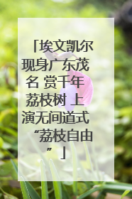 埃文凯尔现身广东茂名 赏千年荔枝树 上演无间道式“荔枝自由”