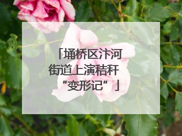 埇桥区汴河街道上演秸秆“变形记”