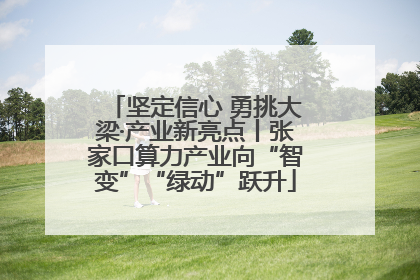 坚定信心 勇挑大梁·产业新亮点丨张家口算力产业向“智变”“绿动”跃升