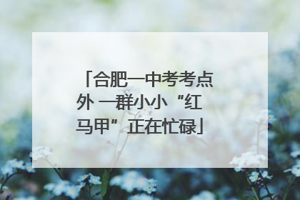合肥一中考考点外 一群小小“红马甲”正在忙碌