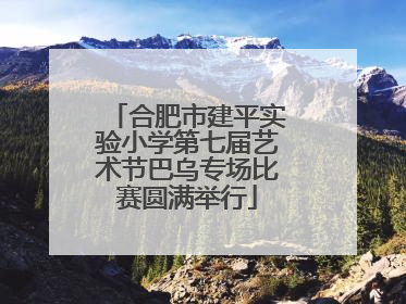 合肥市建平实验小学第七届艺术节巴乌专场比赛圆满举行