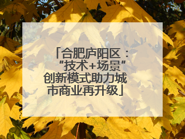 合肥庐阳区：“技术+场景”创新模式助力城市商业再升级
