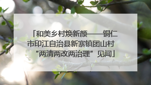 和美乡村焕新颜——铜仁市印江自治县新寨镇团山村“两清两改两治理”见闻