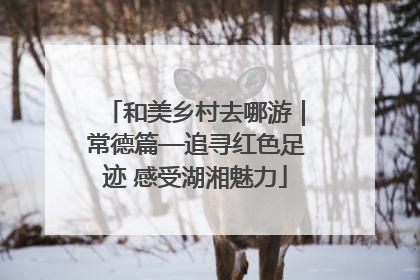 和美乡村去哪游｜常德篇—追寻红色足迹 感受湖湘魅力