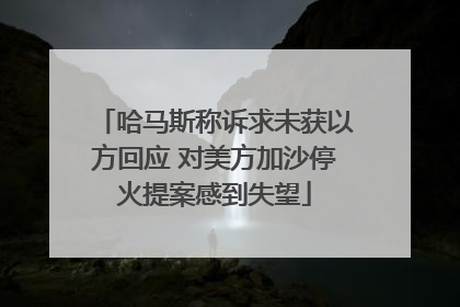 哈马斯称诉求未获以方回应 对美方加沙停火提案感到失望