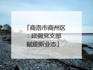 商洛市商州区：建强党支部 赋能新业态