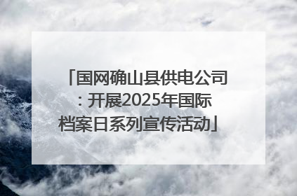 国网确山县供电公司：开展2025年国际档案日系列宣传活动