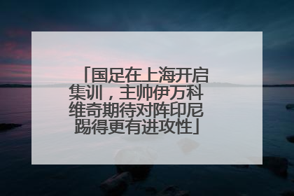 国足在上海开启集训，主帅伊万科维奇期待对阵印尼踢得更有进攻性