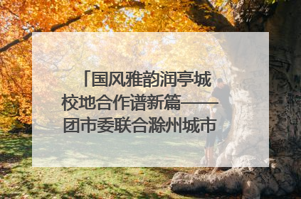 国风雅韵润亭城 校地合作谱新篇——团市委联合滁州城市职业学院助力传统文化“破圈”绽放