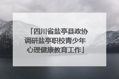 四川省盐亭县政协调研盐亭职校青少年心理健康教育工作