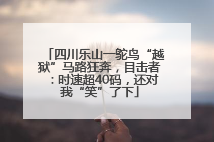 四川乐山一鸵鸟“越狱”马路狂奔，目击者：时速超40码，还对我“笑”了下