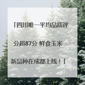 四川唯一平均品质评分超87分 鲜食玉米新品种在成都上线！