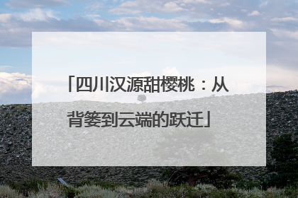 四川汉源甜樱桃：从背篓到云端的跃迁