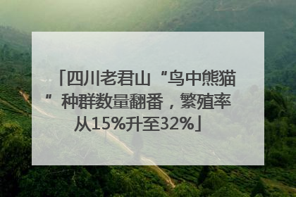 四川老君山“鸟中熊猫”种群数量翻番，繁殖率从15%升至32%