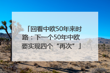 回看中欧50年来时路：下一个50年中欧要实现四个“再次”